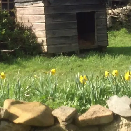 Апартаменты Deerpark Киллало