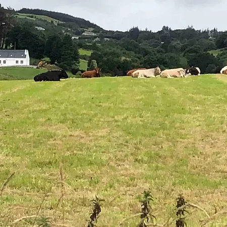 Deerpark Апартаменты