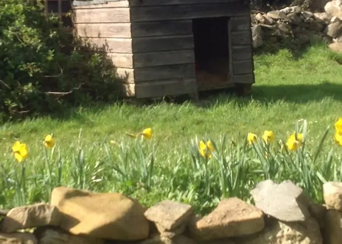 公寓 Deerpark 基拉卢